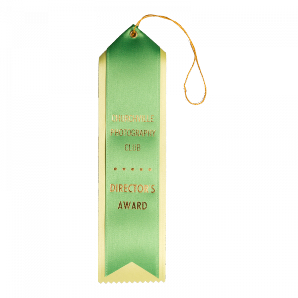 29-2-5x10 Pointed Top Custom Award