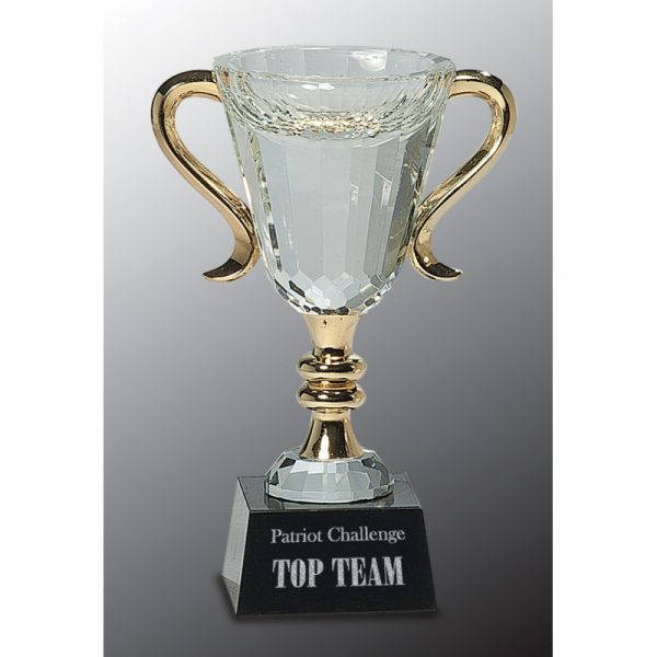 Crystal Gold Cup with marble base Acrylics and Glass