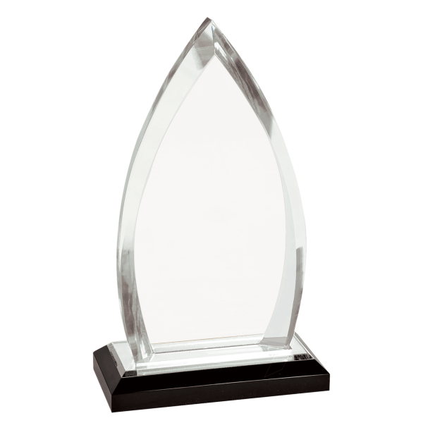 8 3/4" Silver Oval Impress Acrylic Award